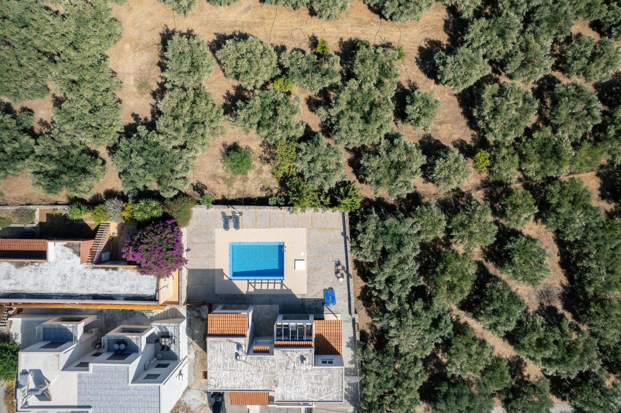 Greek Sky - New Modern Apartment With Shared Pool Tavronitis Zewnętrze zdjęcie